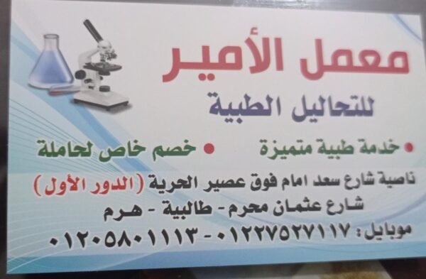 معمل الامير